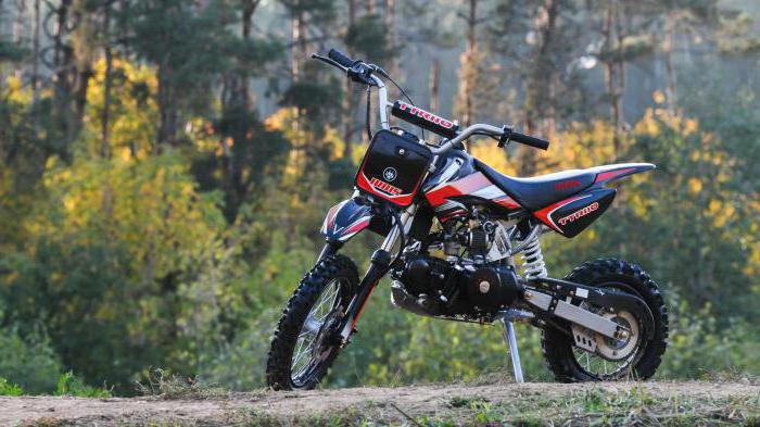  pitbike tt 110