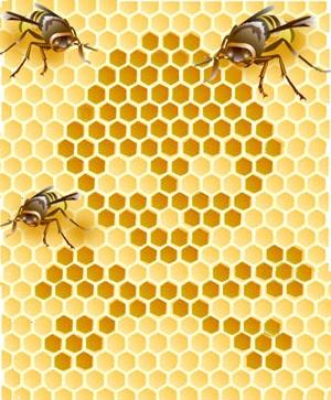 Alimentación otoñal de abejas: de manera rápida, eficiente, justo a tiempo