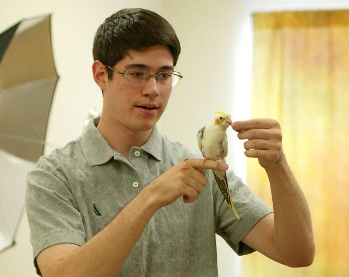 Cómo enseñar a un loro Corella a hablar: consejos para el propietario