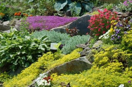 Cómo elegir plantas para toboganes alpinos