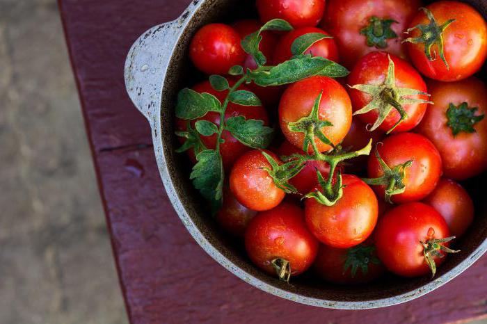 Aplicación de yodo en el jardín: nutrición vegetal, control de plagas y enfermedades