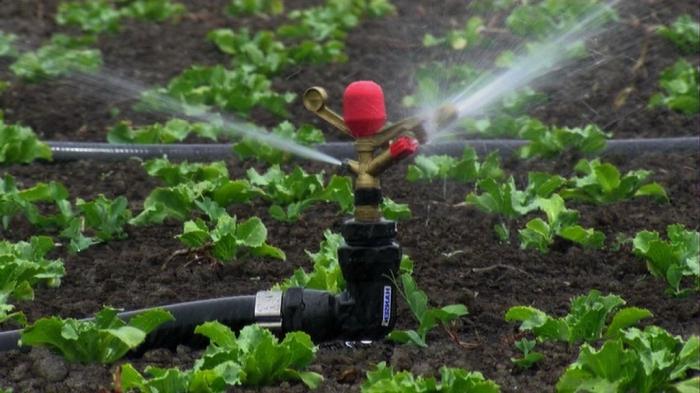 Bomba de agua para regar el jardín