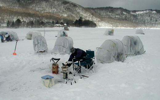 carpa de invierno para pescar con sus propias manos