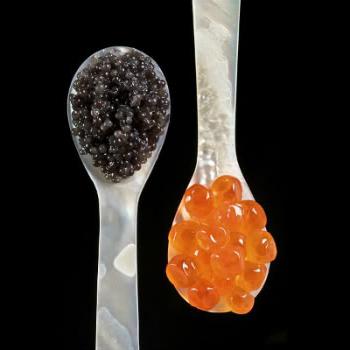 Aprendemos sobre lo que sueña el caviar rojo