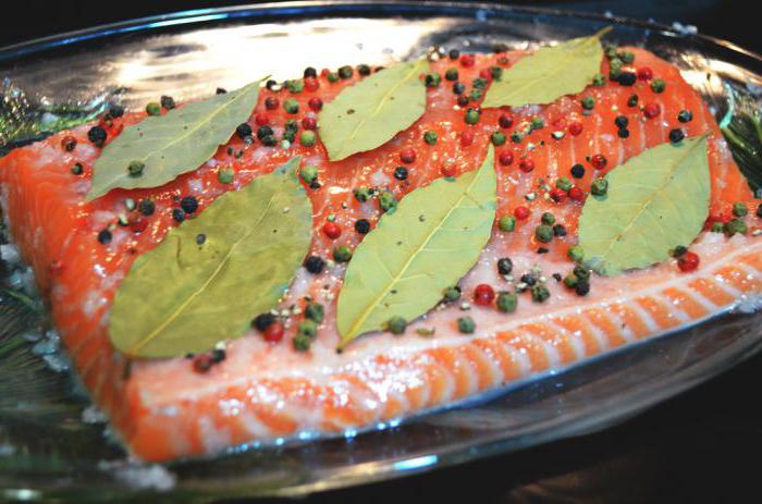 Pescado rojo salado: recetas de cocina. Cómo salivar correctamente el pescado rojo en casa