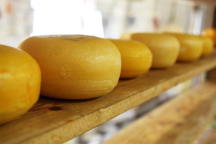 ¿Por qué el queso Kobrin es tan sabroso?