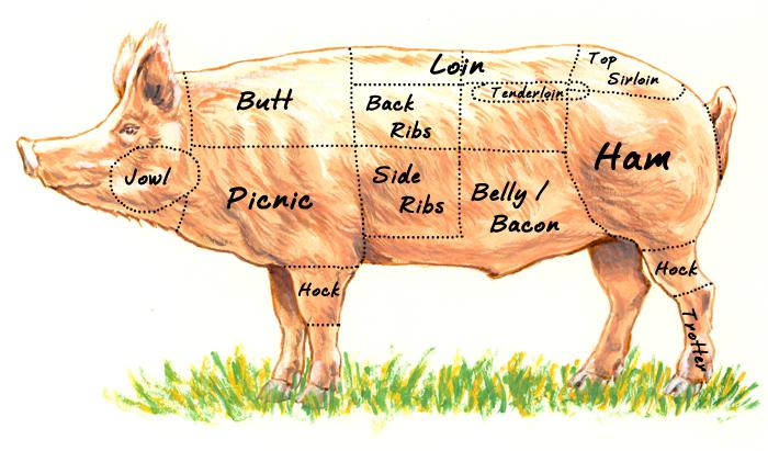 Cortar la carcasa de cerdo y los matices de la selección de carne