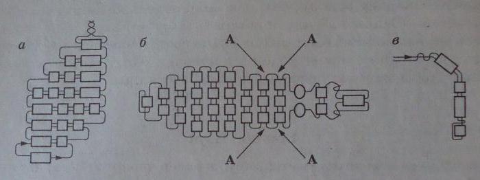 cuentas para principiantes