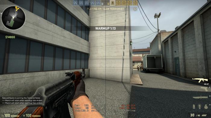 como configurar la vista en cs go