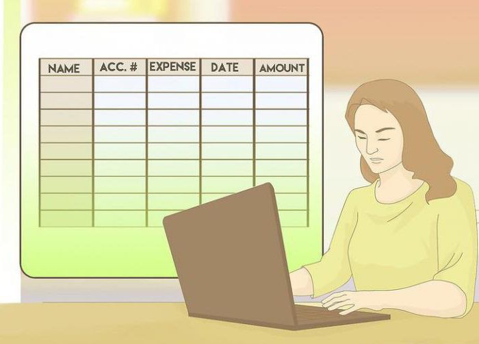 contabilidad de ingresos y gastos del hogar