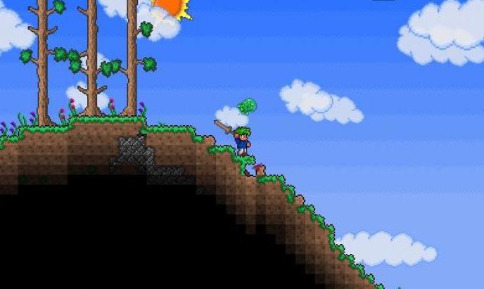 nypa terraria