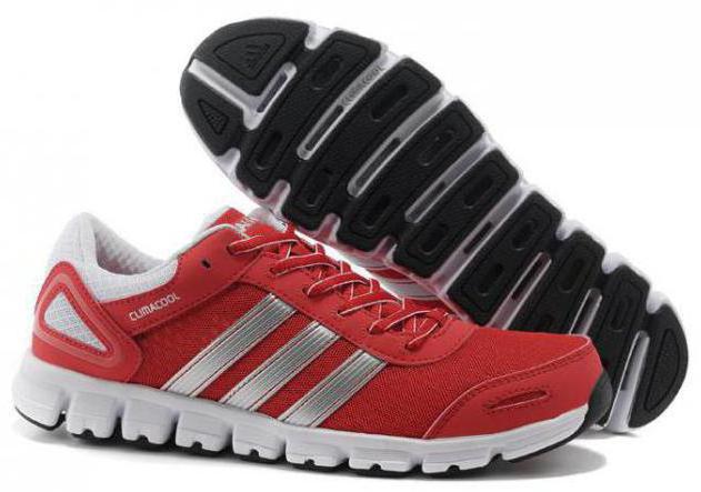 Zapatillas Adidas Climacool - calzado deportivo que brinda placer