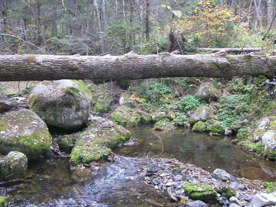 donde hay una montaña de pidan en el territorio de Primorye