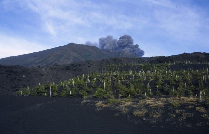 Erupción volcánica: causas y consecuencias