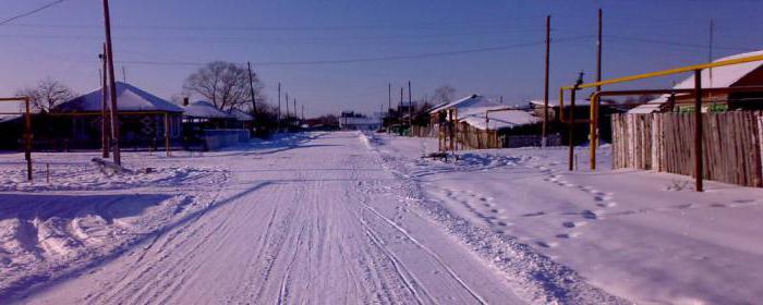 Lake Ik, Región de Omsk: descripción, características, natural y fauna