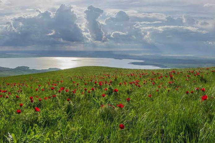 Clima y clima del territorio de Stavropol