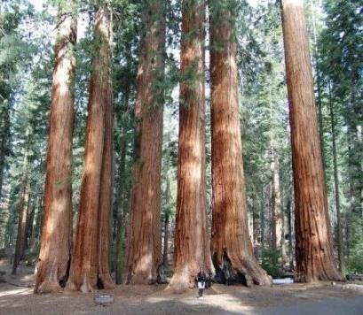 naturaleza estados unidos