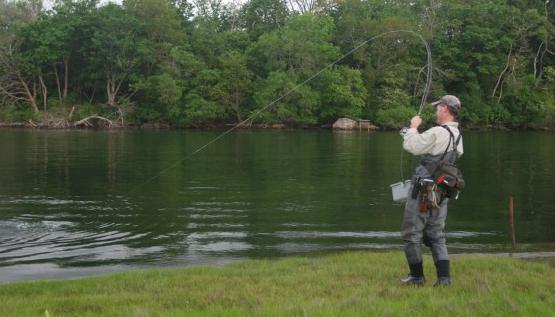 el río de la pesca onega