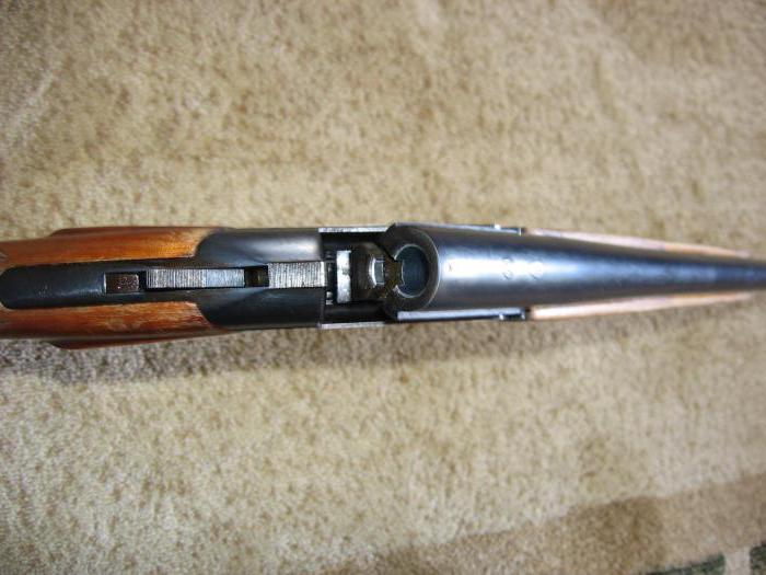 Pistola IZH-17: especificaciones y fotos