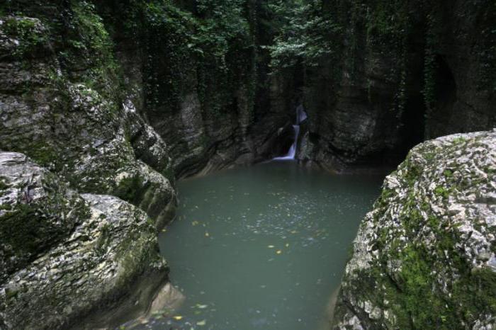 Parque Nacional de Sochi: historia y modernidad