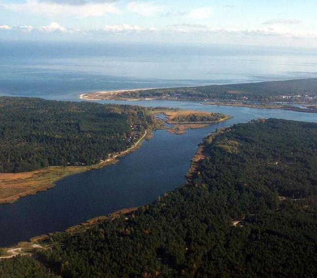 Río del Golfo de Riga