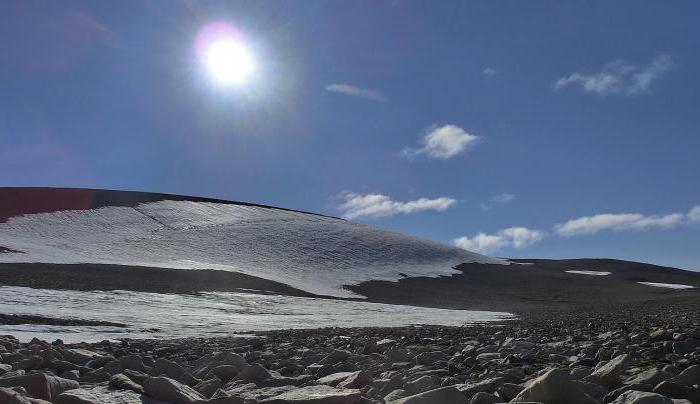 Cinturón Ártico: característico, naturaleza. Zona climática ártica