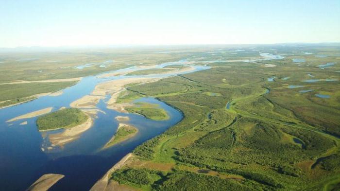 un charco de un río oceánico tranquilo