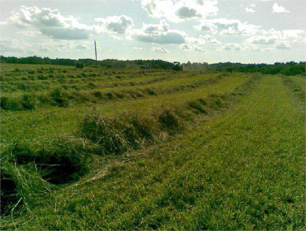 ¿Qué cambios han tenido lugar en el sistema de tenencia de la tierra? Derechos y obligaciones de los propietarios