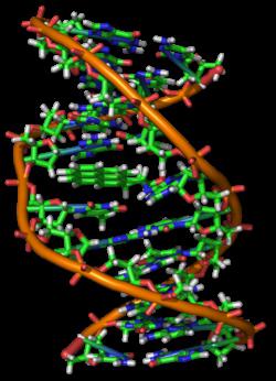 Variabilidad combinatoria y su significado evolutivo