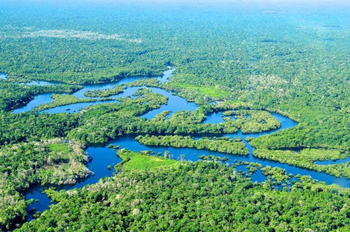 altura absoluta de las tierras bajas amazónicas