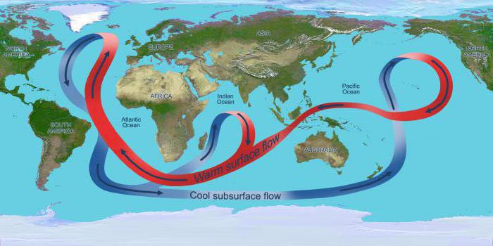 Las corrientes del océano mundial. ¿Qué es la corriente fría y cálida? Descripción y ejemplos