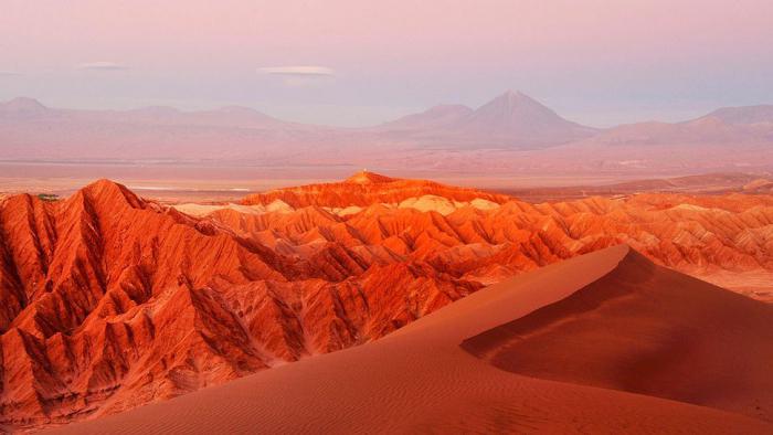 Desiertos tropicales: una característica general; los representantes más destacados