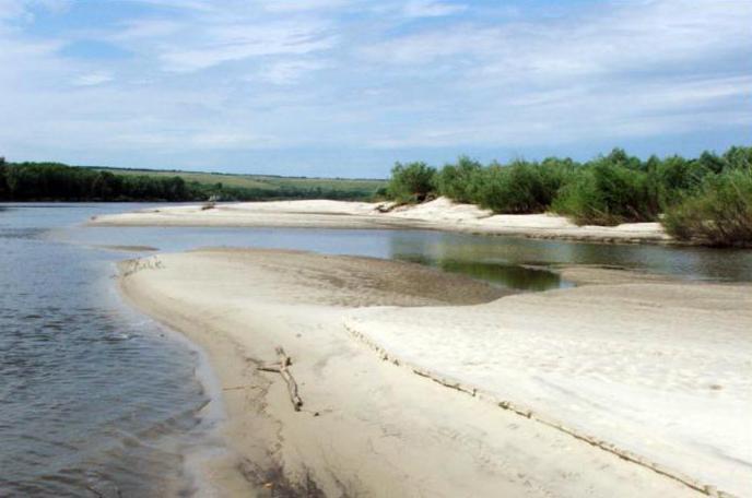 "Athena" - albergue en Volgogrado Región: vacaciones en el área natural protegida con el confort urbano!