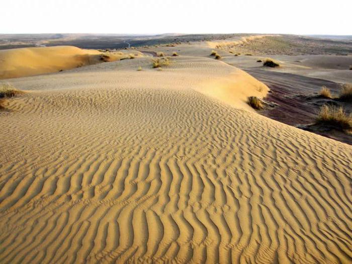 en los desiertos de arcilla de las tierras bajas de Turanian en vivo