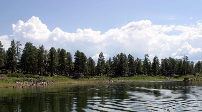 Ilmen (lago): descanso, pesca y comentarios de los turistas