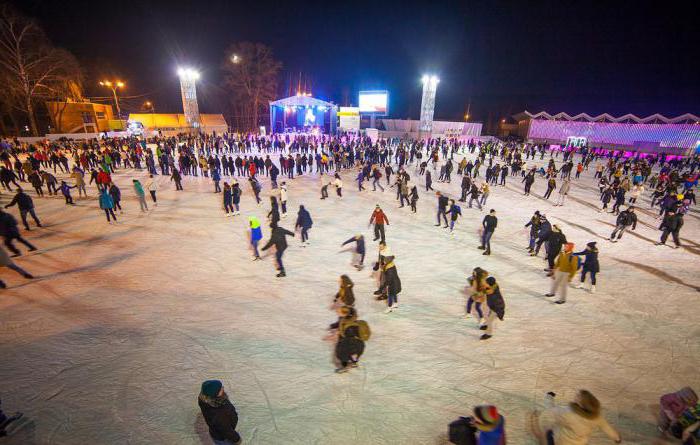 Pista de patinaje en el parque 