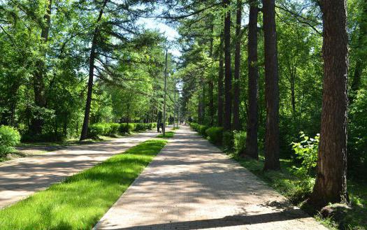 Parque Sokolniki Moscú