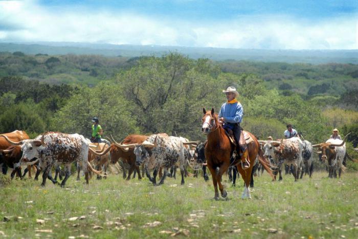 Texas: un estado de gran tamaño y capacidad