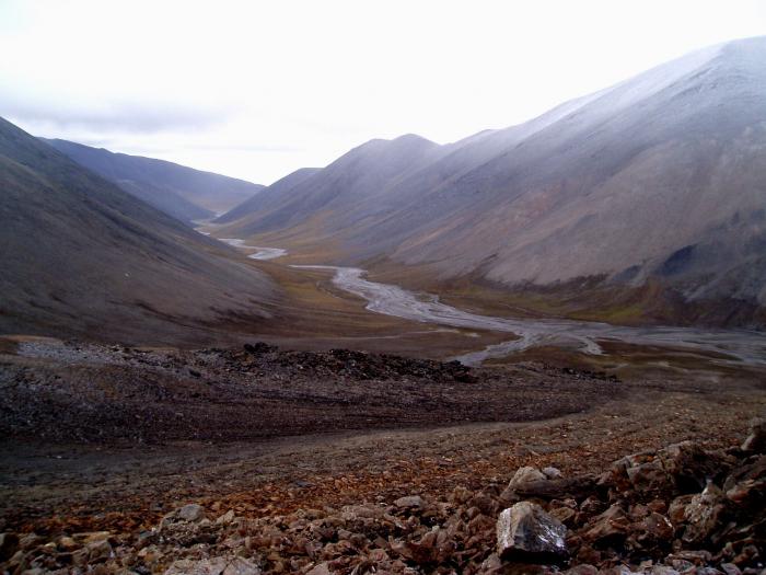 Wrangel Island: reserva natural, ubicación en el mapa de Rusia, clima, coordenadas. Fauna y flora de la isla Wrangel