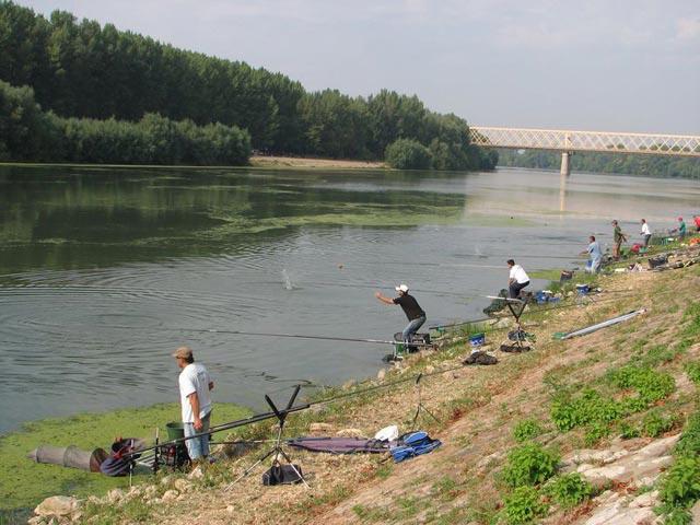 Pesca para spinning