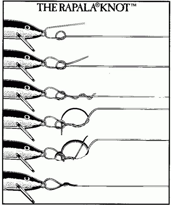 Fundamentos de la pesca: un nudo de pesca y sus variedades