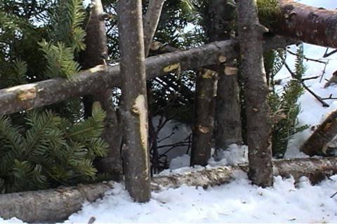 cómo hacer un loop en una liebre