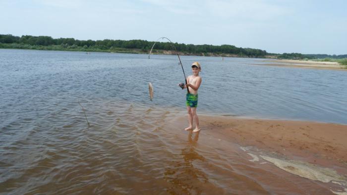 La pesca en Murom: características