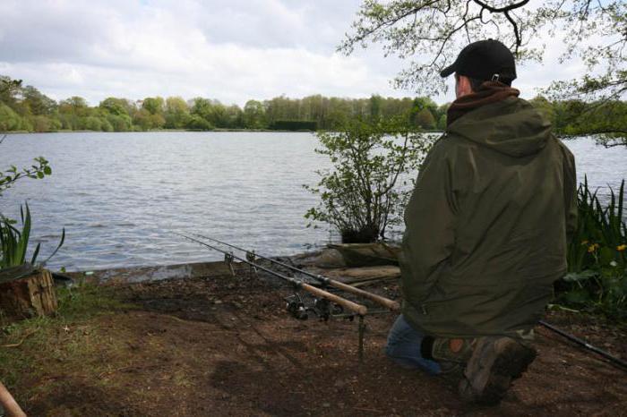 Secretos de la pesca de la carpa en septiembre