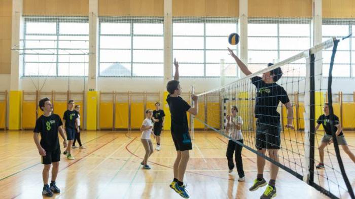 La altura del voleibol de la grilla: estándares