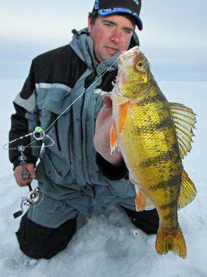 pesca en invierno primero hielo 