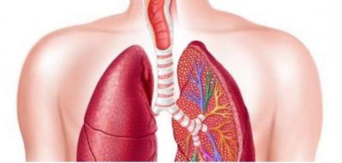 Fibrosis pulmonar idiopática: tratamiento y recomendaciones