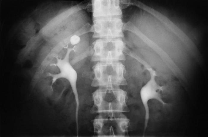 Dispensario de oncología 4: la actividad de una institución médica