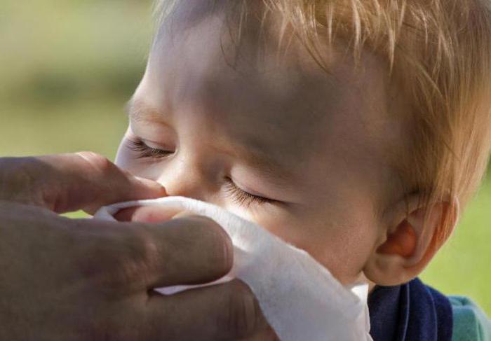 ¿Cuánto dura la temperatura de la gripe en los niños: las características, normas y recomendaciones de los especialistas